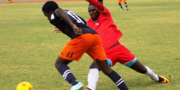 Feutcheu coince Lion Blessé au fond