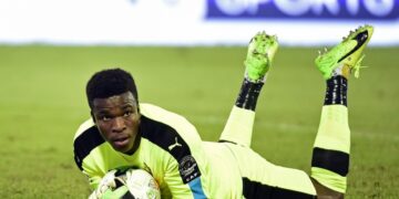 Bruxellesgate : Fabrice Ondoa au secours d&rsquo;Hugo Broos