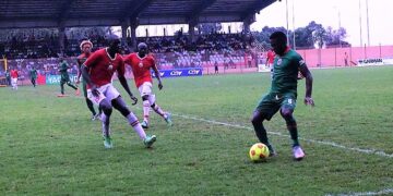 L1 : Apejes brille, Bamboutos scintille, Coton sombre