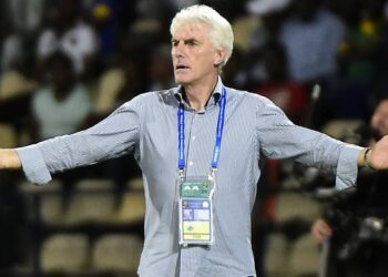 Lions : encore une reconnaissance pour Hugo Broos