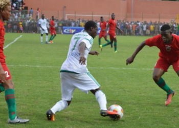 L1 : Coton humilie UMS, Apejes freine Eding