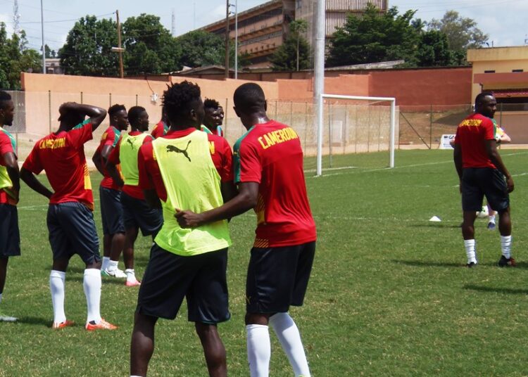 Tanière : les Lions en mode marquage à la culotte
