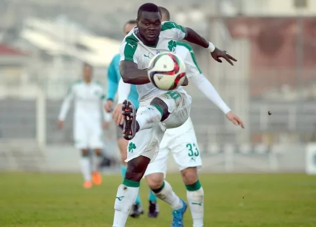 Olivier Boumal: Appelez-moi le peintre !