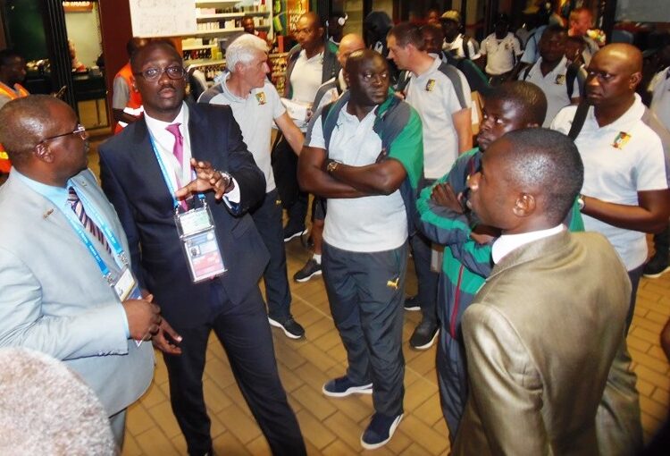 Tanière : les Lions Indomptables au repos