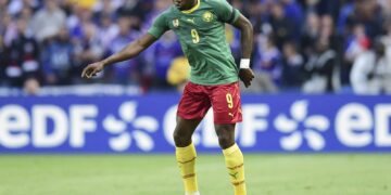 Confédérations 2017 : Broos compte sur Jacques Zoua