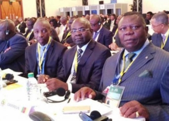 Tombi A Roko: L&rsquo;homme le plus populaire du Cameroun