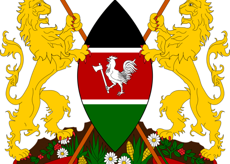 La CAF retire les droits d&rsquo;organisation du CHAN2018 au Kenya