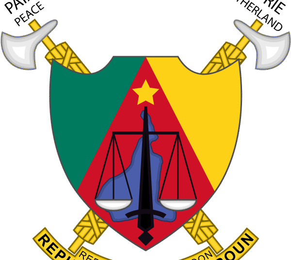 Organisation de la CAN2019: Rien n’est sûr pour le Cameroun