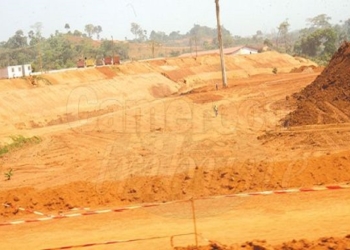 Aménagement: du gazon made in…Olembe