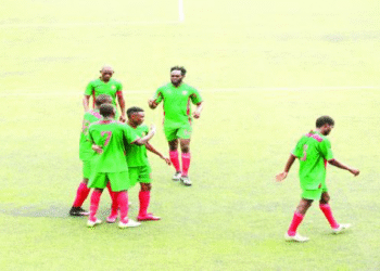 Elite two: Canon, solide leader