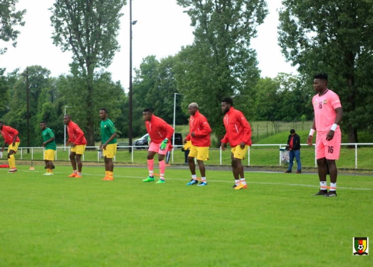 Cameroun Burkina Faso: Les lionnes ont tenu à encourager les Lions Indomptables