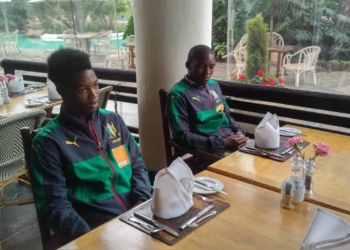 Lions Indomptables : des joueurs « ndolè », un agent « ndolè » et un staff « ndolè » ?