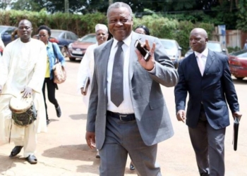 France – Cameroun : Dieudonné Happi sacrifie les Lionnes Indomptables