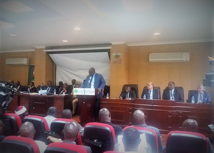 Assemblée Générale Fecafoot : Tous les textes ont été adoptés