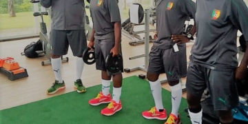 Brésil : les Lionnes continuent leur préparation