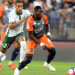 Lions en Club : Montpellier – Marseille; on attendait Oyongo et Njié