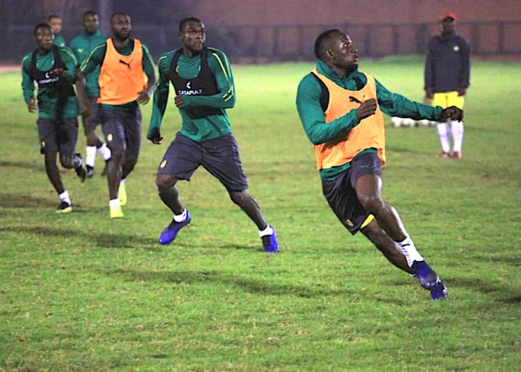 Lions Indomptables : le jeudi dans la tanière