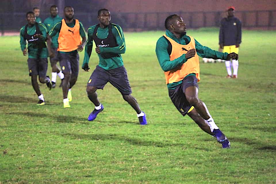 Lions Indomptables : le jeudi dans la tanière