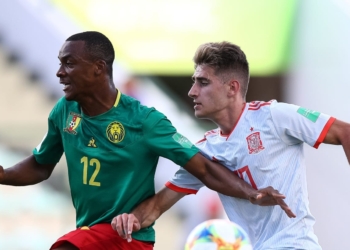 Lions U17 : les leçons d’une élimination