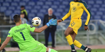 Lions Indomptables : contrairement aux pays du Maghreb, les bons binationaux refusent de jouer pour le Cameroun