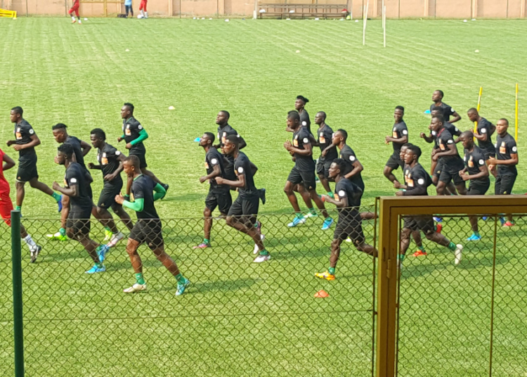 CHAN 2020 : deux matches amicaux pour les Lions A’