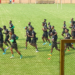 CHAN 2020 : deux matches amicaux pour les Lions A’