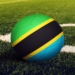 Foot: la Tanzanie, premier pays africain à reprendre son championnat