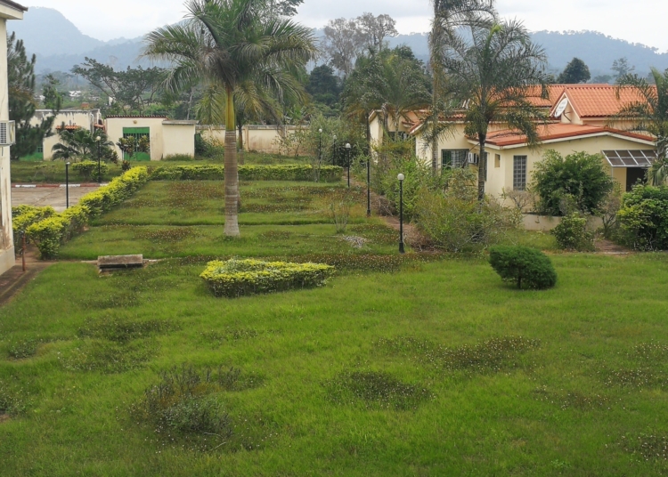 Centre d’Excellence de la CAF : selon le ministre des sports, tout va bien