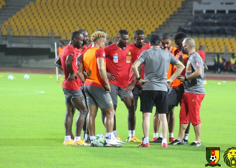 Les Lions Indomptables, mardi