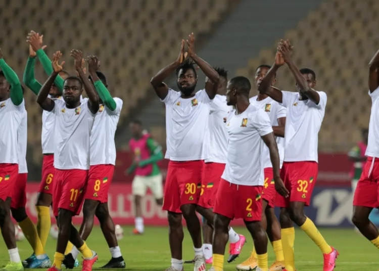 Les Lions A’ redescendent dans l’arène ce samedi