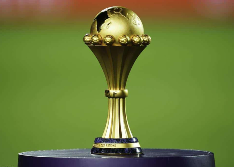 CAN 2021 : le Cameroun cherche une mascotte