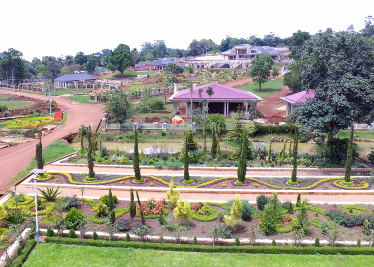 CAN 2021 : même si Ahmad Ahmad fut battu à la CAF, le Cameroun reste sous pression