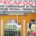 Coupes africaines : un casse-tête pour la Fécafoot