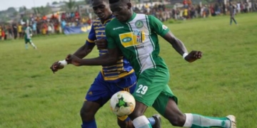 Elite one : Canon et New Star en couleur, Coton en noir et blanc