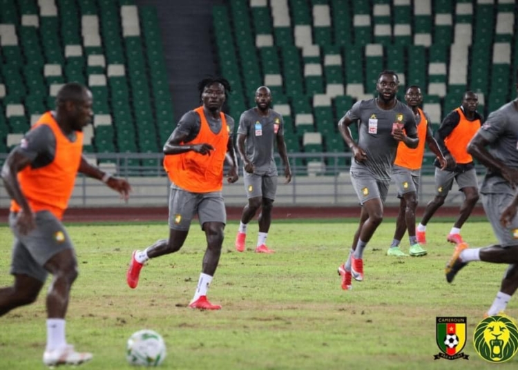 Côte d’Ivoire – Cameroun : la pelouse du stade d’Ebimpé fait polémique