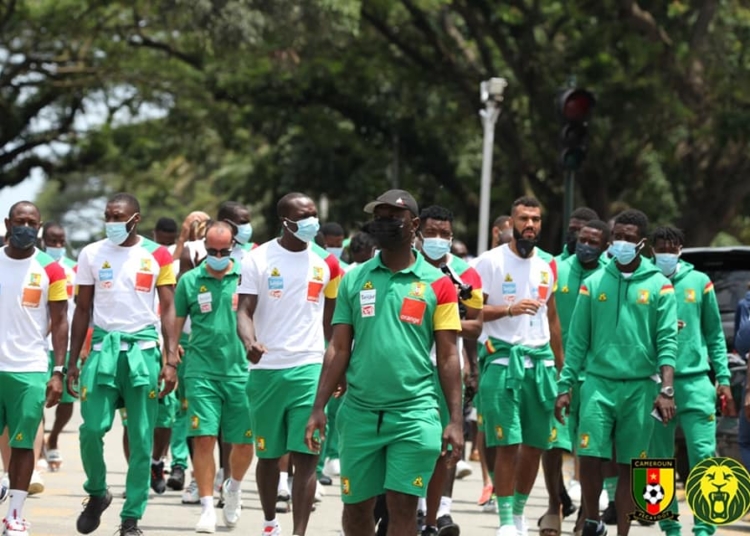 CIV – CMR : le calvaire des Lions de retour à Yaoundé