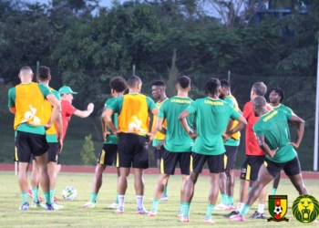 CAN 2021 : conservation du ballon et finition au menu des Lions