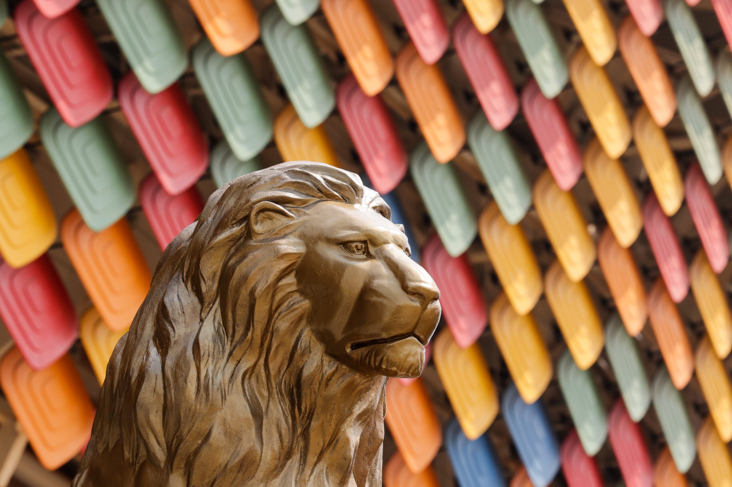 CAN 2021 : De Antonio Conceiçao à Aboubakar Vincent