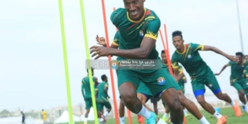 Cameroun – Ethiopie : les Antilopes ne veulent pas se faire dévorer