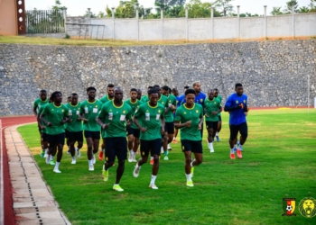 Lions Indomptables : Echos de la tanière