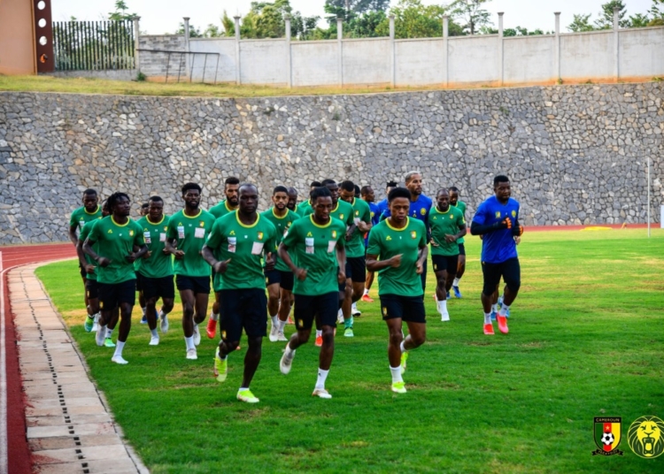 Lions Indomptables : Echos de la tanière