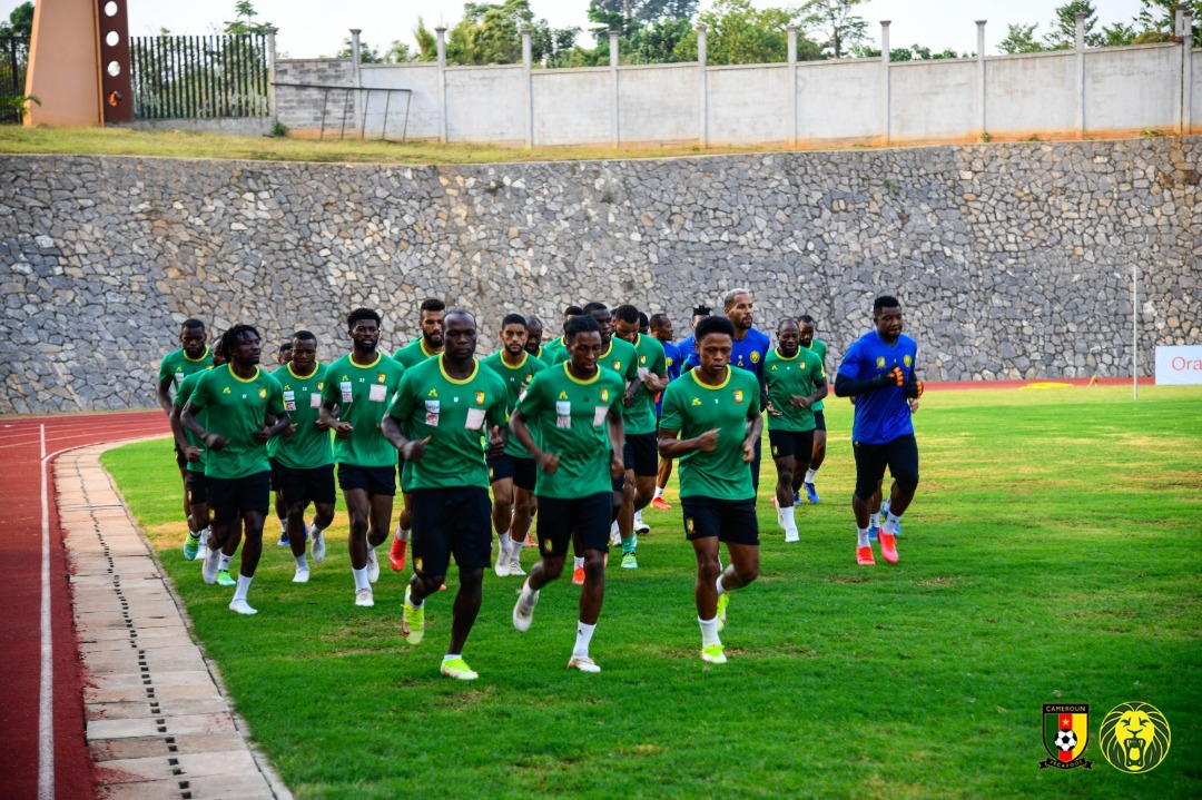 Lions Indomptables : Echos de la tanière