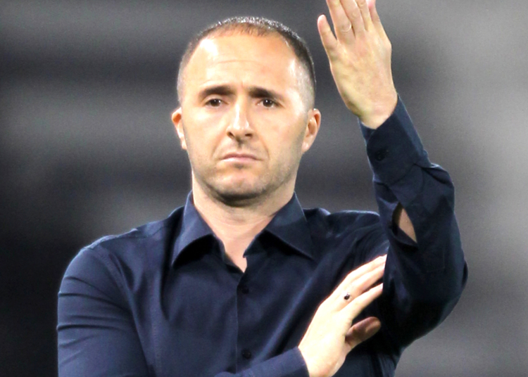 Coupe du Monde 2022 : Djamel Belmadi et la double confrontation face au Cameroun