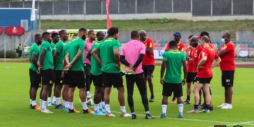 Lions indomptables : l’effectif de Rigobert Song s’étoffe