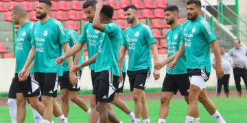 Djamel Belmadi : « on a perdu beaucoup dans ce stade, c&rsquo;est là où on veut renaître »