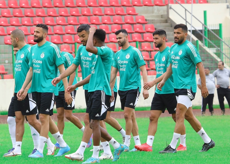 Djamel Belmadi : « on a perdu beaucoup dans ce stade, c’est là où on veut renaître »