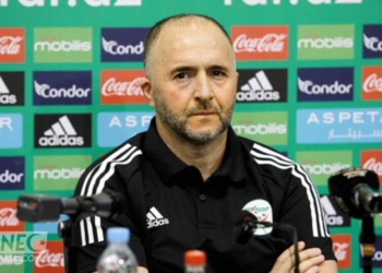 Djamel Belmadi : « l’histoire plaide pour le Cameroun »
