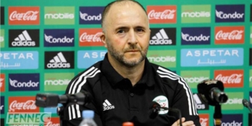 Djamel Belmadi : « l’histoire plaide pour le Cameroun »