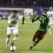Cameroun – Algérie : avantage aux Lions indomptables