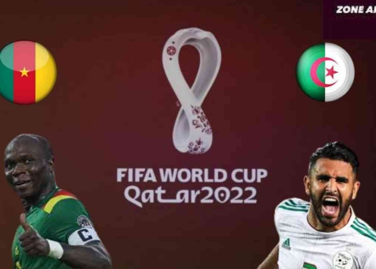 Barrages CDM 2022 : Cameroun – Algérie, le jour J